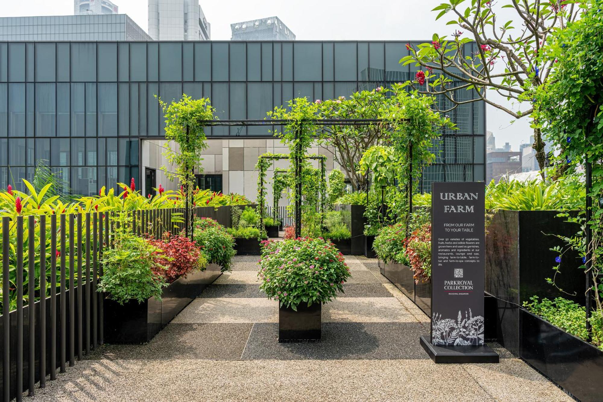 Parkroyal Collection Pickering, Сингапур Екстериор снимка The photo shows an urban farm setup, featuring neatly arranged plants in large black containers. There are various types of greenery, including shrubs and small trees, providing a lush and vibrant atmosphere. A pathway runs through the garden, leadin