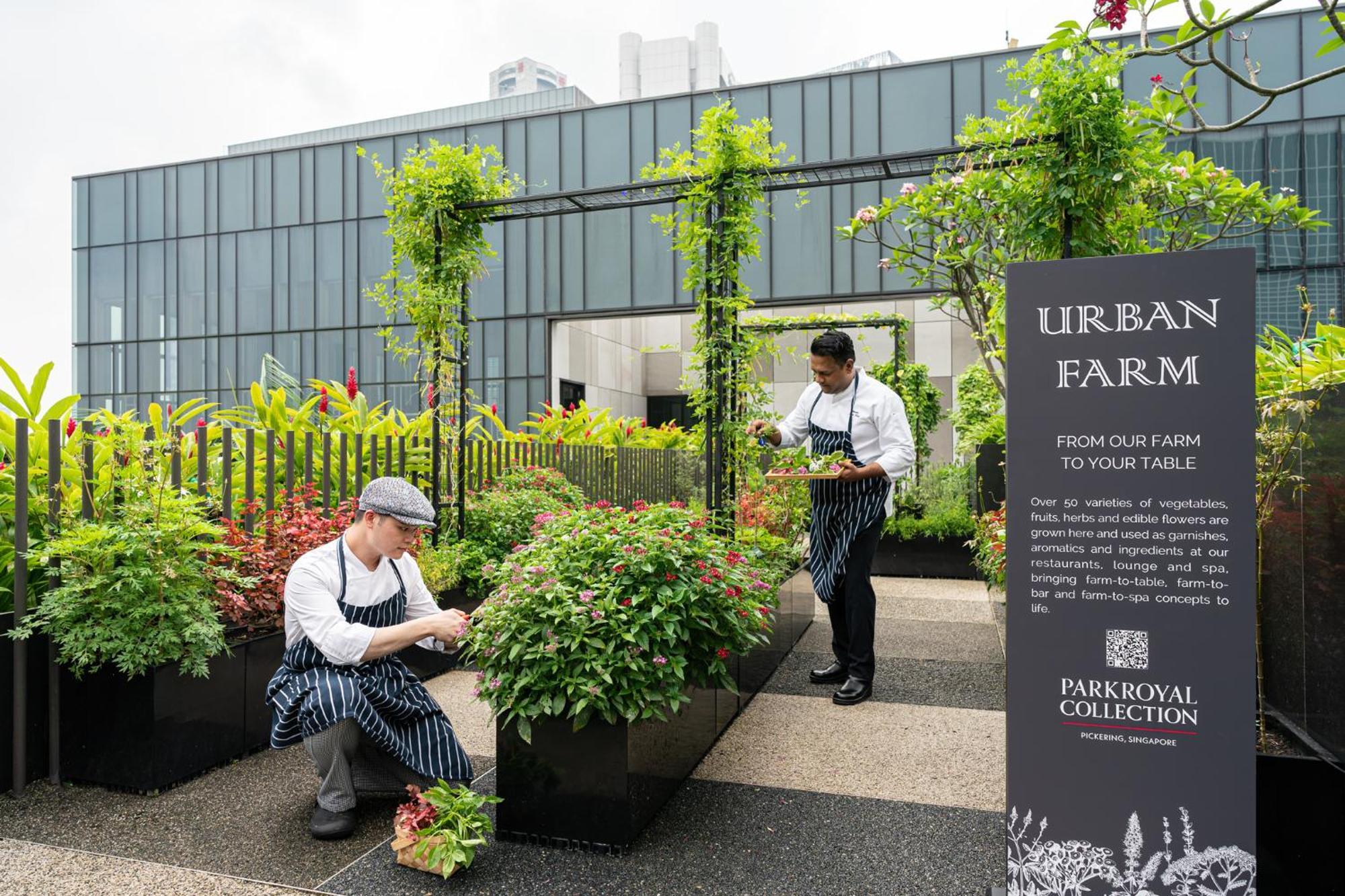 Parkroyal Collection Pickering, Сингапур Екстериор снимка The photo shows an urban farm setting where two individuals are tending to plants. One person is crouched down, checking or maintaining the plants while wearing a cap and an apron, and the other is standing nearby, also attending to the greenery. Sur