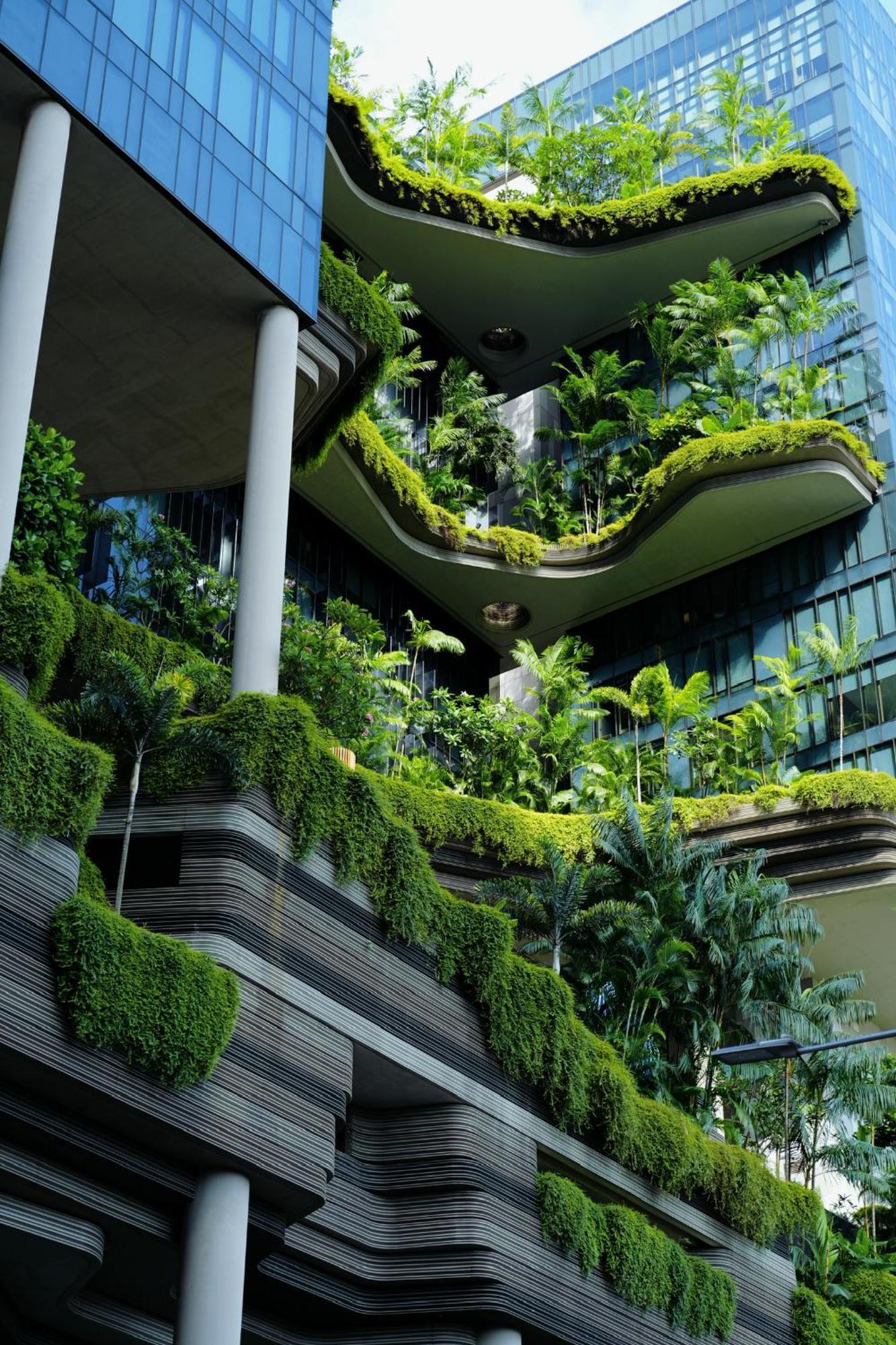 Parkroyal Collection Pickering, Сингапур Екстериор снимка The photo showcases a modern architectural structure featuring multiple levels adorned with lush greenery and various types of plants. The design incorporates curved balconies and terraces that flow seamlessly into dense vegetation. The interplay of 